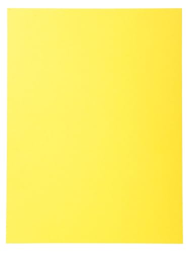 Exacompta 5 packs of 100 rigid folders Forever® yellow
