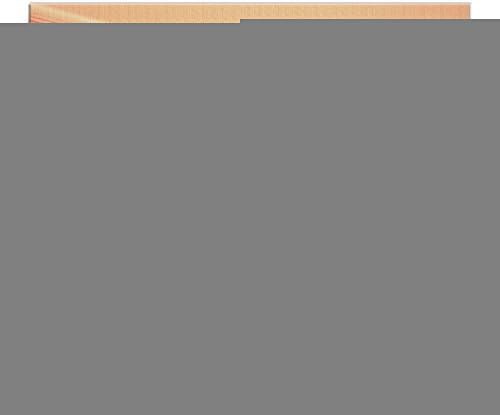 T121 Ariana Poster Grande Frameless Paintings Wood Home Decoration Painting 1620 Inches