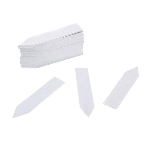 100pcs Etiquetas Jardinería de Plástico de Planta Marcadores ...