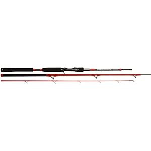 Canne Casting Tenryu Injection Bc 73 Xh Travel