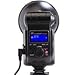 Flashpoint SL-360K1 StreakLight 360 Watt-Seconds Flash with Blast Power Pack (Black)
