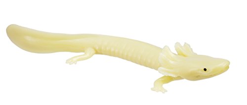 Safari Ltd Glow-In-The Dark Mudpuppy
