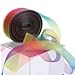 Molshine 100yd 1-inch Premium Quality Shimmer Sheer Organza Ribbon - Rainbow seven colors