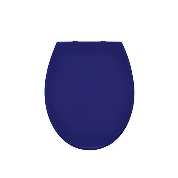 RIDDER Toilettensitz Miami mit Soft Close Dunkelblau