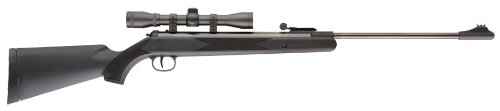 Ruger Blackhawk Combo air rifle