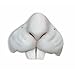 Forum Novelties - Easter Bunny Rabbit Nose Animal Mini Mask Costume White