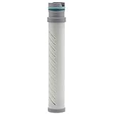 LifeStraw Go Water Bottle 2-Stage Replacement