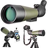 Best lg phone covers owls photos of real owls