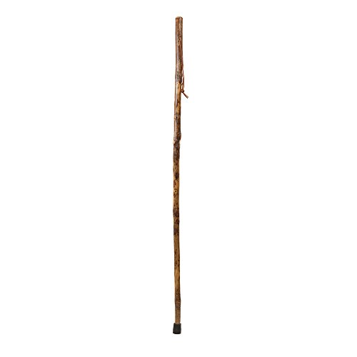 Hiking Walking Trekking Stick - Handcrafted Wooden Walking & Hiking Stick - Made in the USA by Brazos - Hickory Photographer - 58 inches