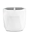 Essentra Home Modern White Collection Toothbrush Holder