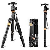 Andoer DSLR Camera Tripod