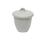 Otoolworld Porcelain Crucible with Lid Cover Lab