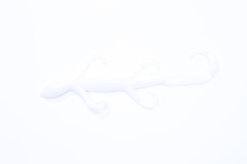 Zoom Bait 6-Inch Lizard Bait-Pack of 9