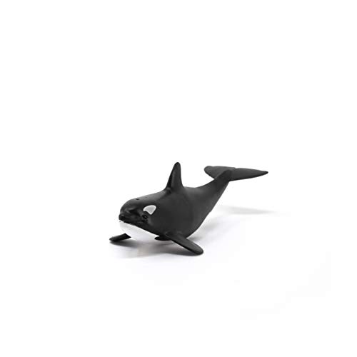 schleich 14836 Orka Junges, für Kinder ab 3+ Jahren, WILD LIFE - Spielfigur, Black – Bild 3