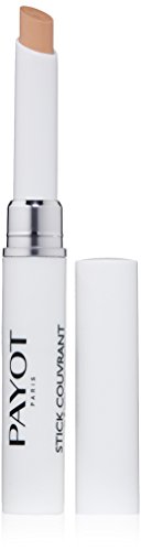 STICK COUVRANT PÂTE GRISE Purifying concealer with shale extract