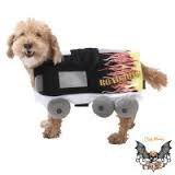 Road Dog Costume with Flames, Size X-Small