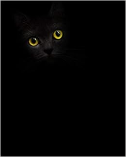 Black Cat 2020 One Year Weekly Planner Beautiful Elegant Eyes Daily Weekly Monthly View Pretty Nifty Clean Calendar Organizer One 1 Year More 8x10 12 Month Simple
