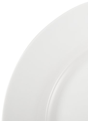 3 AmazonBasics+6+Piece+Dinner+Plate+Set