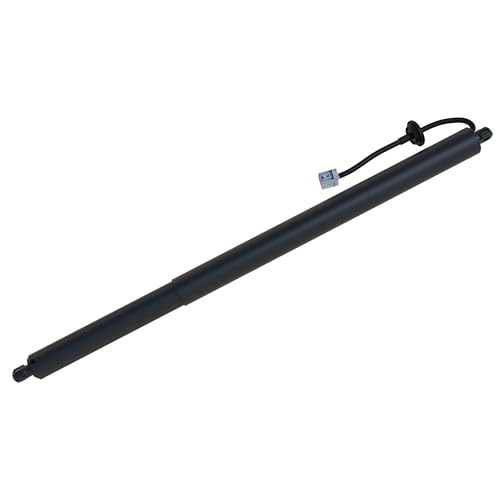 Liftgate Lift Support 300752
