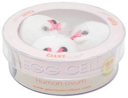 Giant Microbes Egg Cell (Human ovum) petri dish