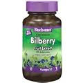 Bluebonnet Nutrition Standardized Bilberry Fruit Extract