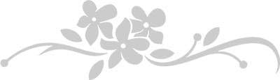 Flower Etch Effect Frosted Vinyl Window Sticker