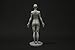 Female Anatomy Figure Collection: Planar, Ecorche and Skin - Anatomical Reference for Artists