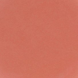 CITY COLOR COSMETICS Be Matte Blush | Blendable Mineral Makeup Powder (Guava) - Thumbnail 4