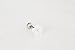 Infinitine Stainless Steel 16g 16Gauge Bridesmaid Gift Star Snowflake Constellation Shapled Floral White Mother of Pearl Flower Ear Studs Piercing Earring P1653