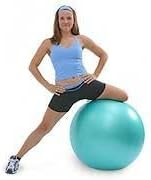 TheraGear Swiss Ball Pro