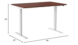 FLEXISPOT EN1 One-Piece Standing Desk 48 x 30 Inch