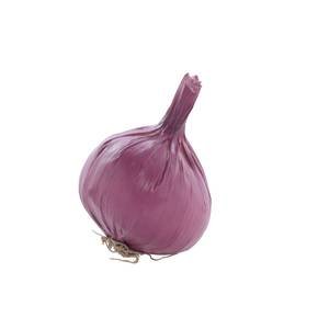 Retail Resource Artificial Onion - Purple, 3.5"L