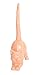 Beth Marie Luxury Boutique Cat Ring Holder, Cute Coral Ceramic Engagement and Wedding Ring Holder, Measures 2.75
