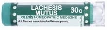 Lachesis Mutus 30C Ollois Homeopathics 80 Pellet by Ollois Homeopathics