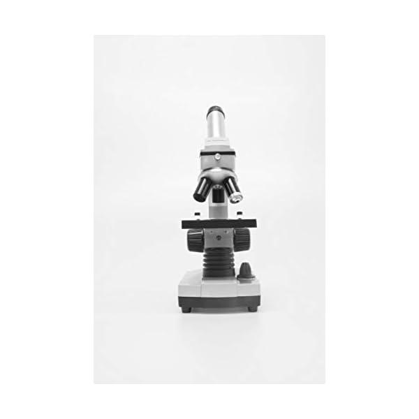 Bresser Junior Mikroskop Set Biolux DE 40x-1024x für Kinder und Erwachsene mit hoher Vergrößerung, inklusive USB Kamera… – Bild 4
