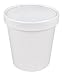 Sweet Bliss Quart Frozen Dessert Containers, 25CT, White