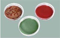 6892046 Sabouraud Dextrose Media 20 Per Case sold as Case Pt# 7050A by Troy Biologicals