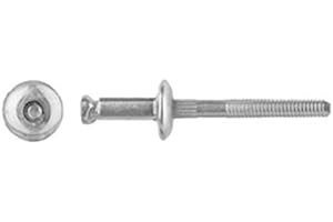 CLIPSANDFASTENERS INC 25 1/4" Window Regulator Rivets For GM Ford and Chrysler