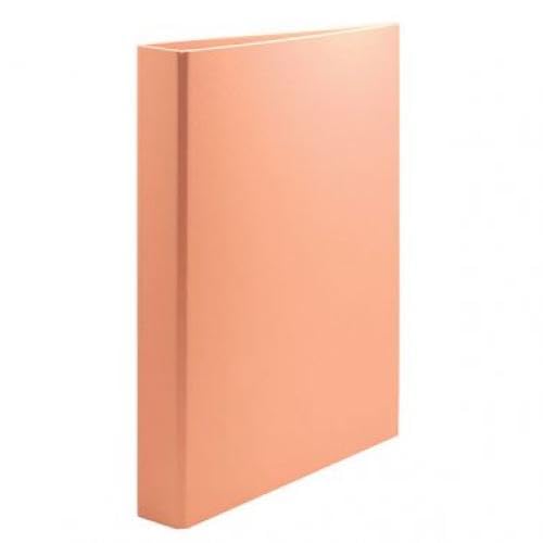 Classifiers Brand Plus Office Model Folder Plus PP/C Fº 4A/25 NARANJ.PAS