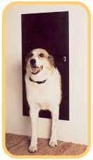 Solo Pet Doors Automatic Electronic Dog and Cat Door