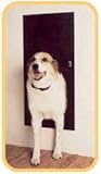 Solo Pet Door Automatic Electronic Dog and Cat Door (18