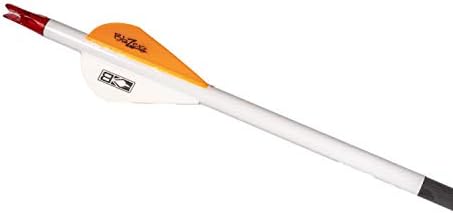 Gold Tip Hunter 340 Arrows with Blazer Vanes Custom Made Set of 12