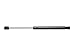 Strongarm 6122 Liftgate Lift Support, Pack of 1, black