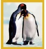 Magnetic Bookmark Penguin 2 Adults
