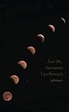Just Like the Moon I Go Through Phases: 2019-2020 Two-Year Monthly Pocket Planner with Phone Book + by Pretty Planners, Pocket Diaries