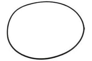 Waterway Executive 48 / 56 Frame Spa Pump Volute O-Ring O-261 805-0261