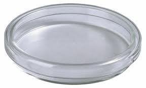 60MM GLASS PETRI DISH