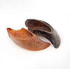 USA Beef Hoof Dog Chews All Natural Preservative Free (8 Pack)