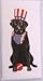 Mary Lake-Thompson Black Lab 4th of July Flour Sack Dish Towel