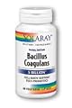 Bacillus Coagulans Solaray 60 VCaps